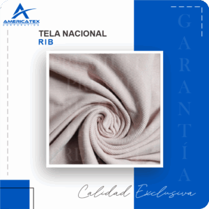 RIB